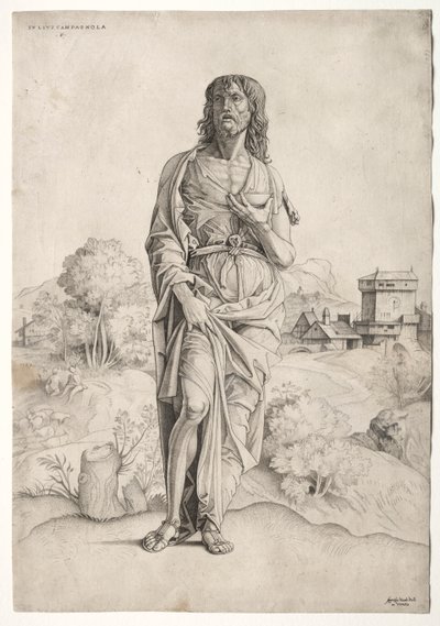St. John the Baptist by Giulio Campagnola