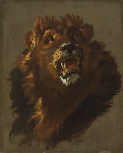 Lion by Giuseppe Baldrighi