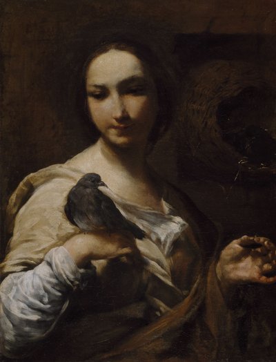 Girl Holding a Dove by Giuseppe Maria Crespi