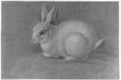 White Rabbit by Giuseppe Paganelli