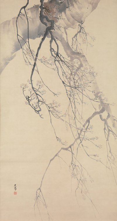 Cherry Blossoms by Go Shun
