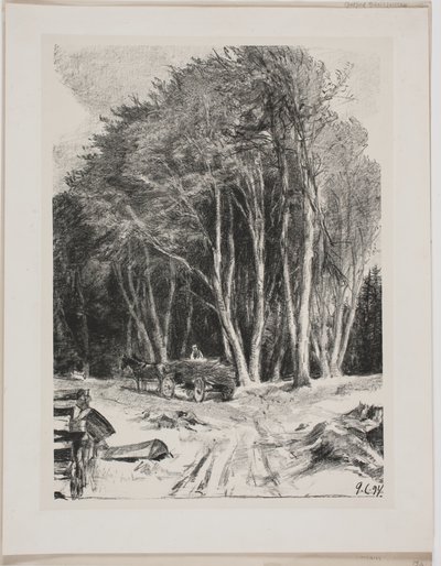 Logging by Godfred Christensen