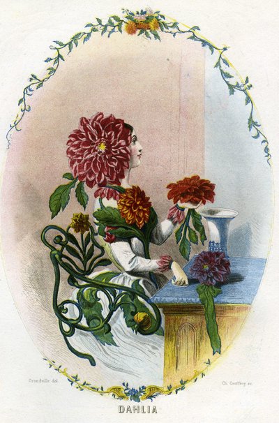Illustration for 