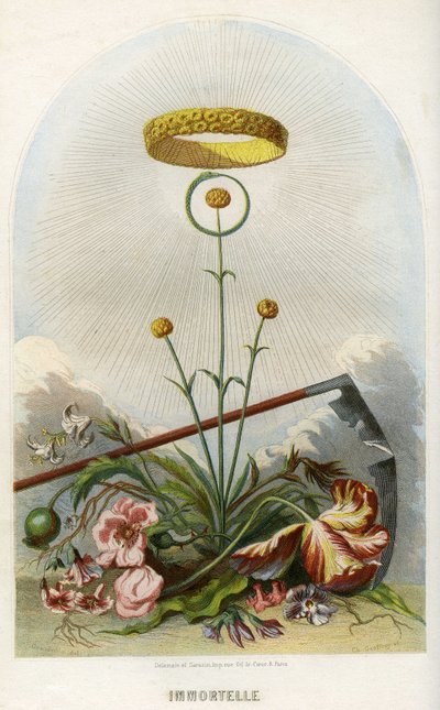 Illustration for 
