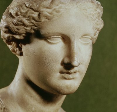 Head of Artemis by Greek