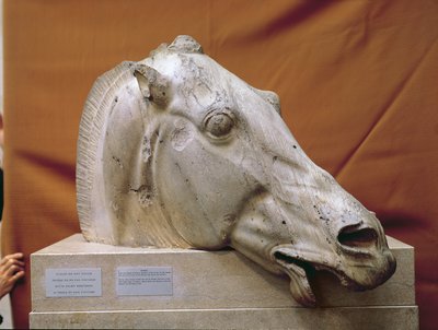 Head of a Horse of Selene by Greek