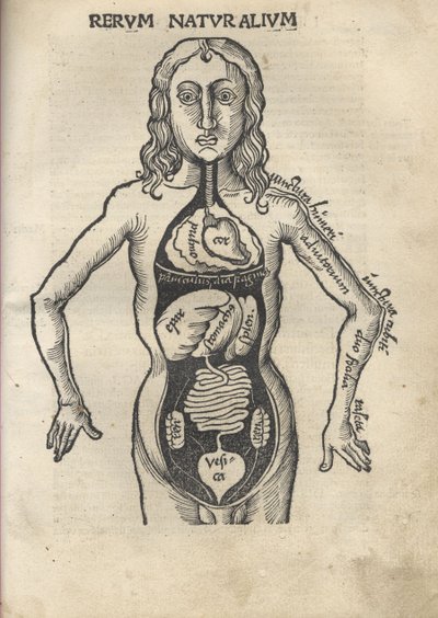 Margarita Philosophica. Anatomy by Gregor Reisch