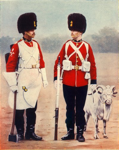 The Royal Welsh Fusiliers, 1901 by Gregory and Co