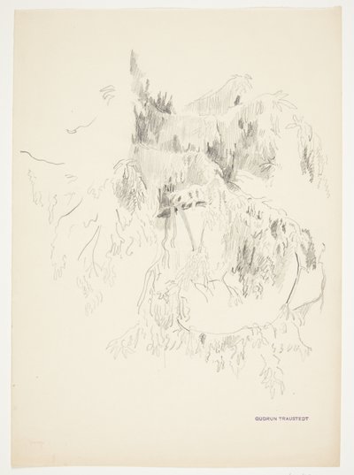 Study of Branches by Gudrun Traustedt