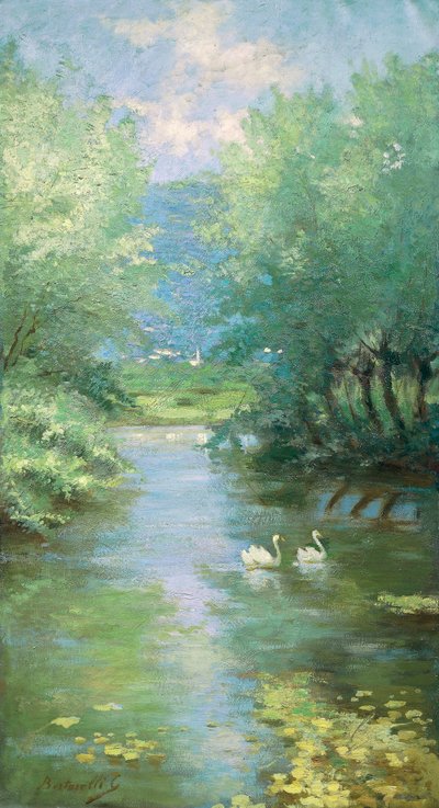 Landscape with swans by Guido Bertarelli