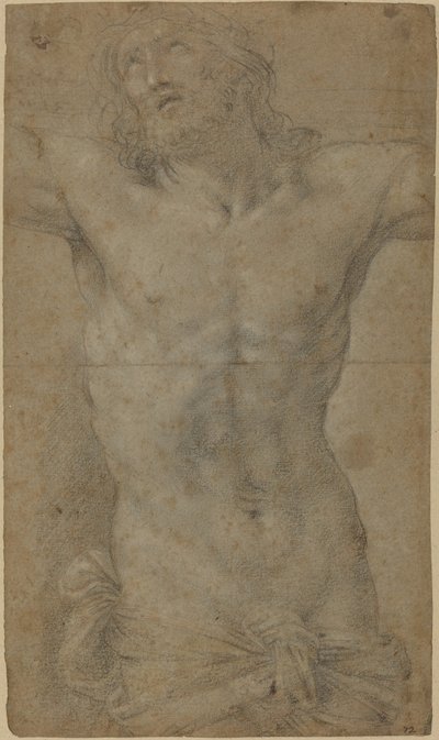 Torso of Christ on the Cross by Guido Reni