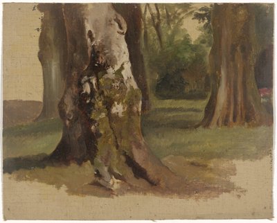 Tree Trunks by Guillaume Anne van der Brugghen