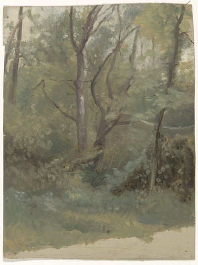 Forest View by Guillaume Anne van der Brugghen