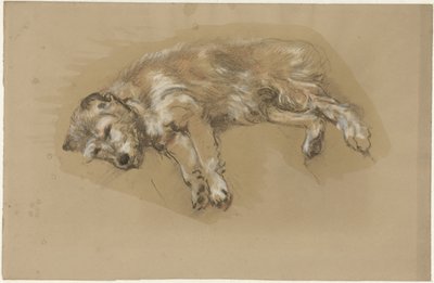 Lying Dog by Guillaume Anne van der Brugghen
