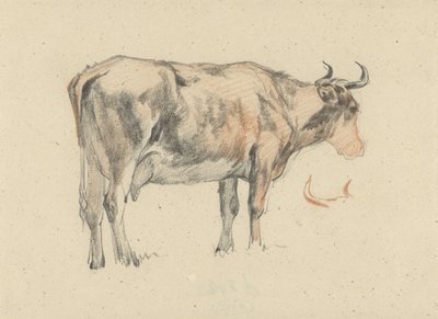 Standing Cow, Facing Right by Guillaume Anne van der Brugghen