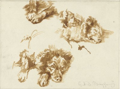 Studies of a Dog by Guillaume Anne van der Brugghen