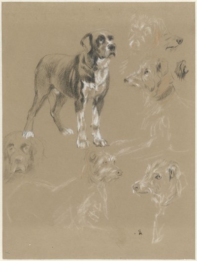Studies of a Dog by Guillaume Anne van der Brugghen