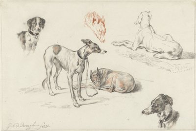 Studies of Dogs by Guillaume Anne van der Brugghen