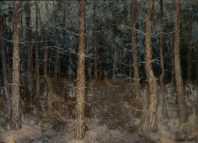 Mystical Paths: Forest View by Gust van de Wall Perné