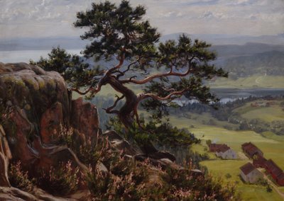 View over Vardåsen by Gustav Wentzel