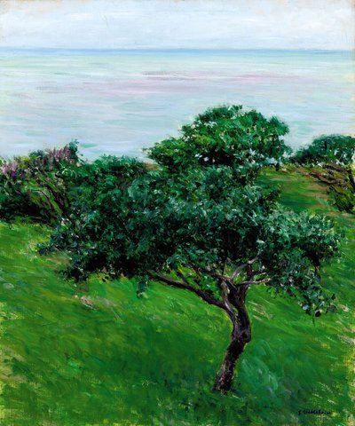 Apple Trees by the Sea, Trouville by Gustave Caillebotte