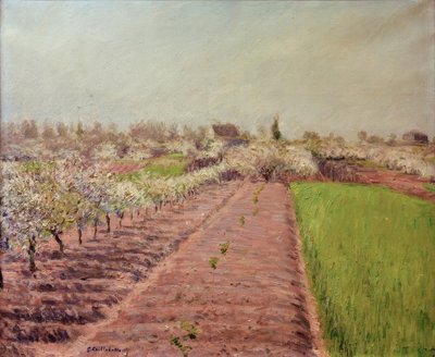 Apple Trees in Bloom, Hillside of Colombes by Gustave Caillebotte