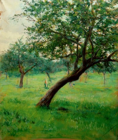 Orchard, Also Called Orchard in Normandy by Gustave Caillebotte