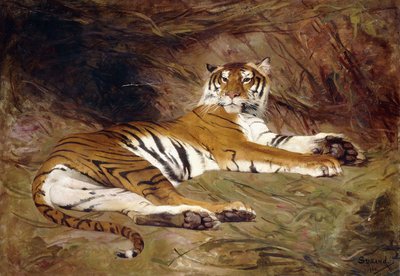 A Reclining Tiger by Gustave Surand