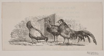 Three Chickens by H. C. Henneberg