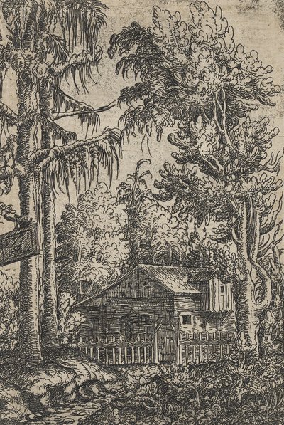 A Cabin and Two Pines by Hanns Sebald Lautensack