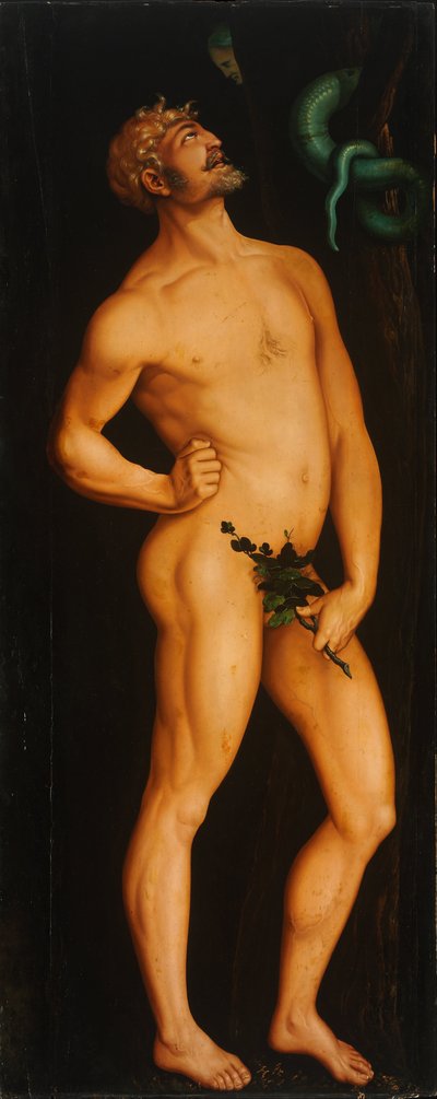 Adam by Hans Baldung
