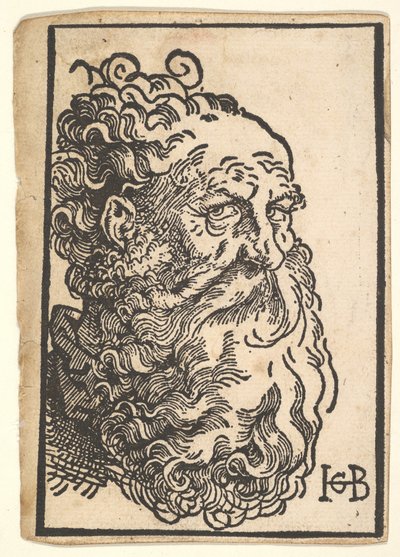 Head of a Bearded Man by Hans Baldung