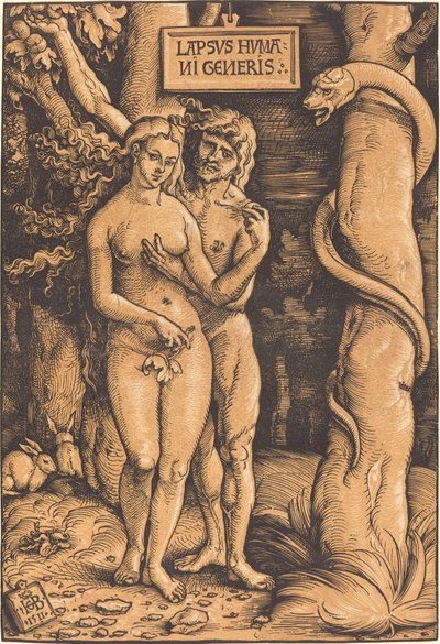 Adam and Eve by Hans Baldung Grien