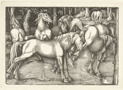 Group of Six Fighting Horses by Hans Baldung Grien
