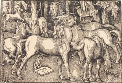 Group of Seven Horses by Hans Baldung Grien