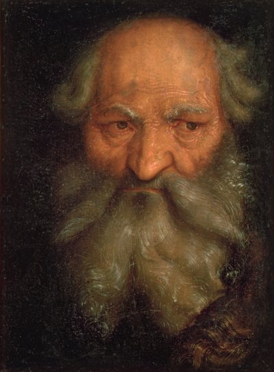 Head of an Old Man by Hans Baldung Grien