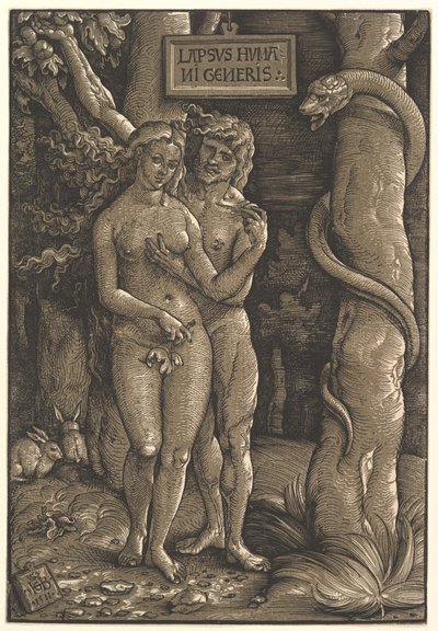 The Fall of Mankind, 1511 by Hans Baldung Grien