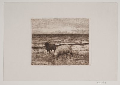 Sheep on the Shore by Hans Christian Gether Caspersen