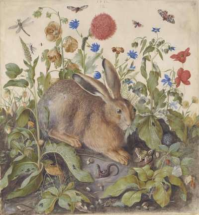 A Hare Among Plants, 1582 by Hans Hoffmann