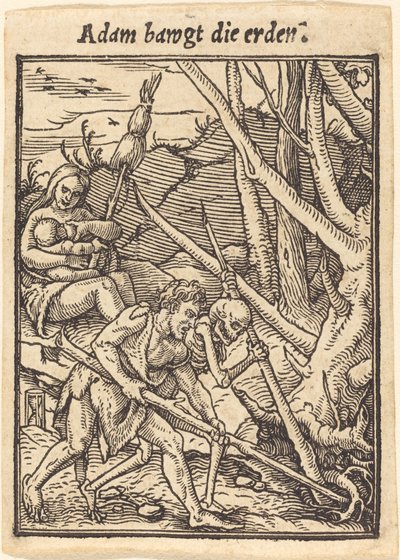 Adam Bawgt Die Erden by Hans Holbein der Jüngere