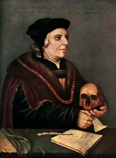 Sir William Butts c1486-1545, 1543 by Hans Holbein der Jüngere