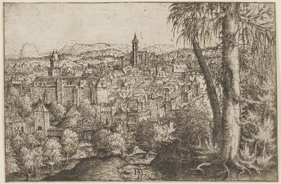 View of Steyr on the Enns by Hans Sebald Lautensack