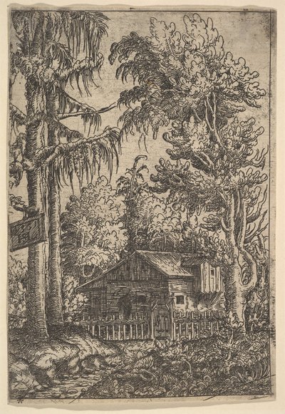Cabin Among Trees by Hans Sebald Lautensack