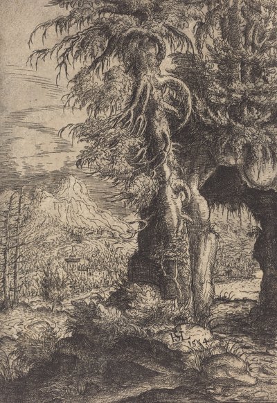 The Gate in the Rocks, 1554 by Hans Sebald Lautensack