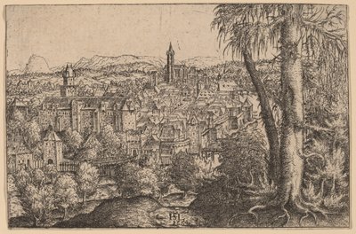 View of Steyr on Enns by Hans Sebald Lautensack