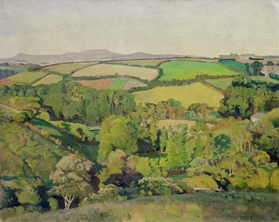 Drift Valley by Harold Harvey