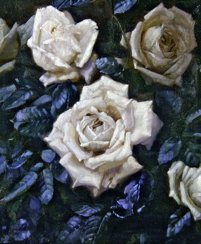 White Roses by Harold Oakley