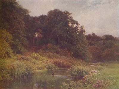 A Brook by Harold Sutton Palmer