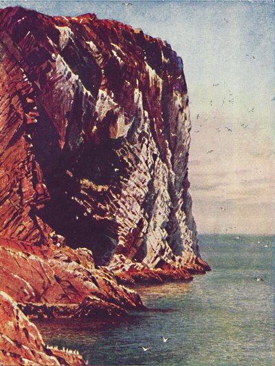 Bass Rock by Harold Sutton Palmer