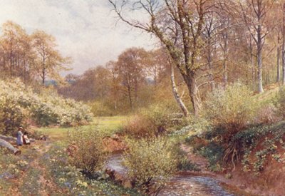 In Spring Woods, Ockley by Harold Sutton Palmer